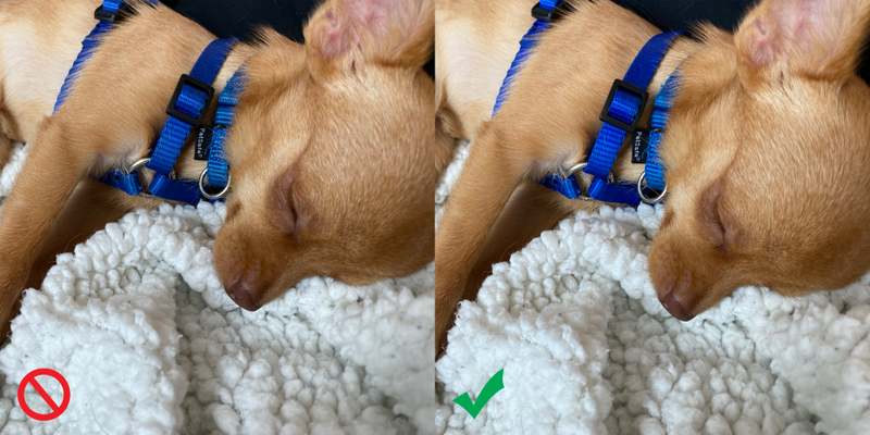 Deep Fusion off (left), Deep Fusion on (right)